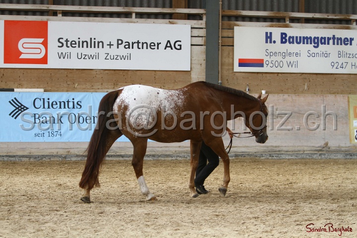 24-ApHC HIH_060.jpg